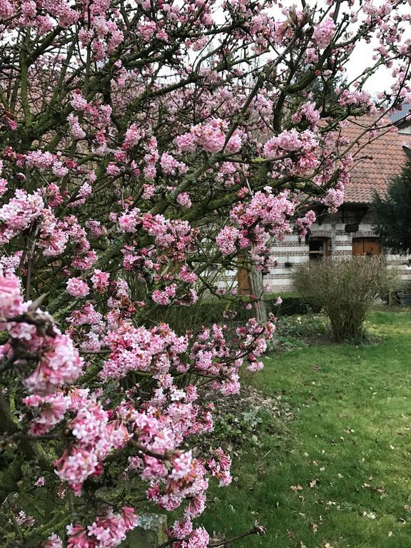 La Ferme Des Templiers De Flechinelle Bed & Breakfast Enquin-les-Mines Dış mekan fotoğraf